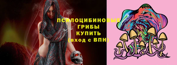прущая мука Арсеньев